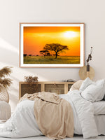 Load image into Gallery viewer, Serengeti Sunrise
