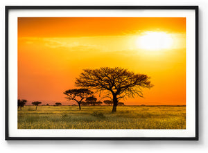 Serengeti Sunrise